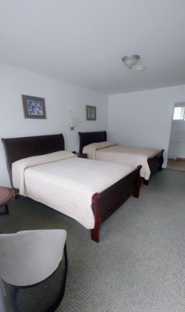 White Fang Motel Wawa Extérieur photo